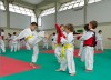 Riccione tkd 2011-1