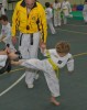 Riccione tkd 2011-3